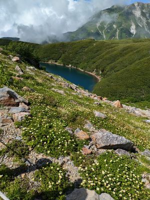 室堂。天気が良すぎて暑かった。