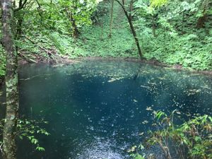 ずっと来たかった白神山地♡
青池は思った以上に青かった！
雨と霧がすごくて...