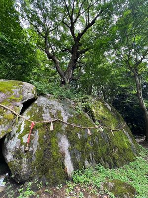 初岩手上陸♡
中尊寺⭐️来れてよかった！予想以上に金色堂は圧巻！感動🥺近く...