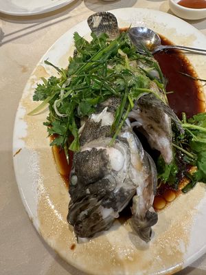 石班魚(ハタ)の清蒸、たまに食べたくなります。
東京で甘鯛とかマナガツオが...