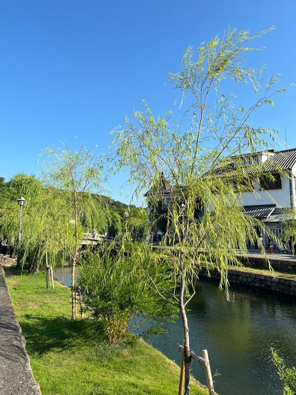 日本・岡山県「鳥取旅行」の写真