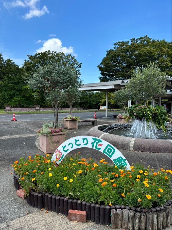 日本・岡山県「鳥取旅行」の写真