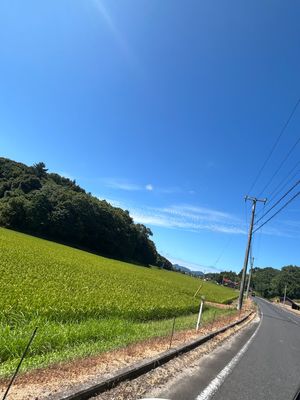 地元の窯元へドライブ
寄り道して神社へ