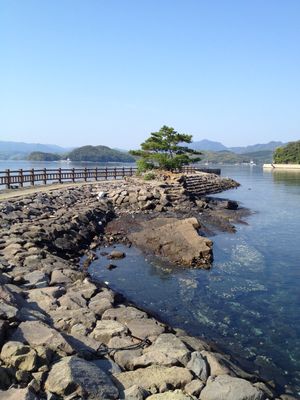 対馬の風景