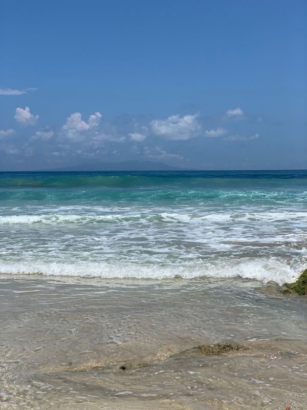 日本・静岡県「波に乗る」の写真
