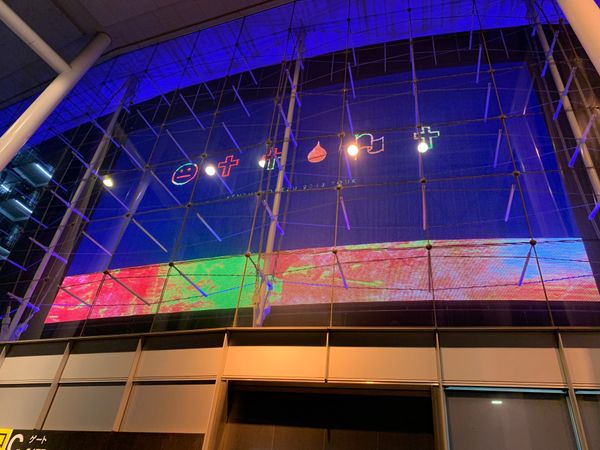 日本・埼玉県「変身！」の写真