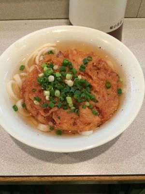 桜島フェリー名物の「やぶ金」さんのうどんとフェリーからの桜島の眺め。桜島港...