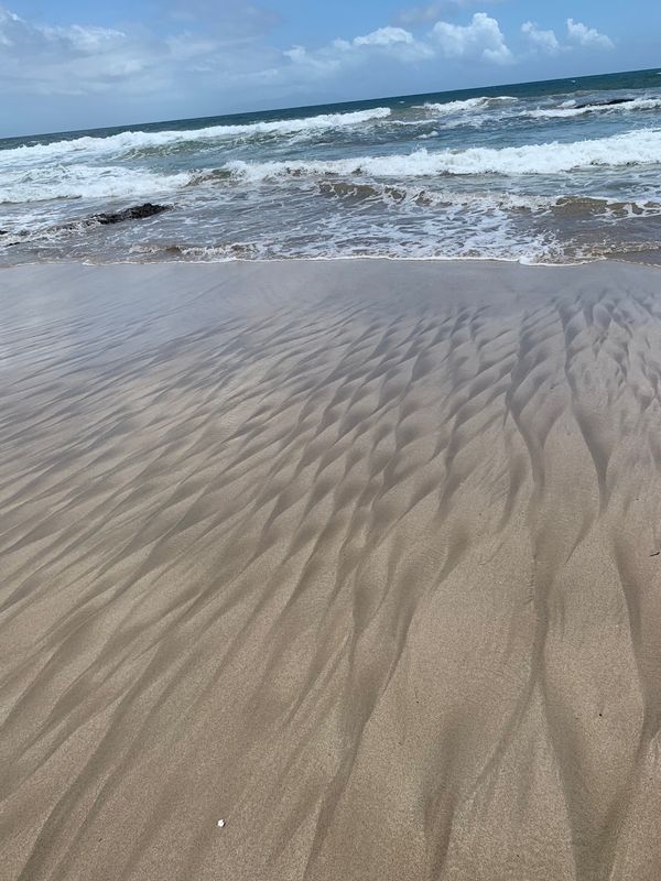 日本・静岡県「白浜に砂が少ない年」の写真