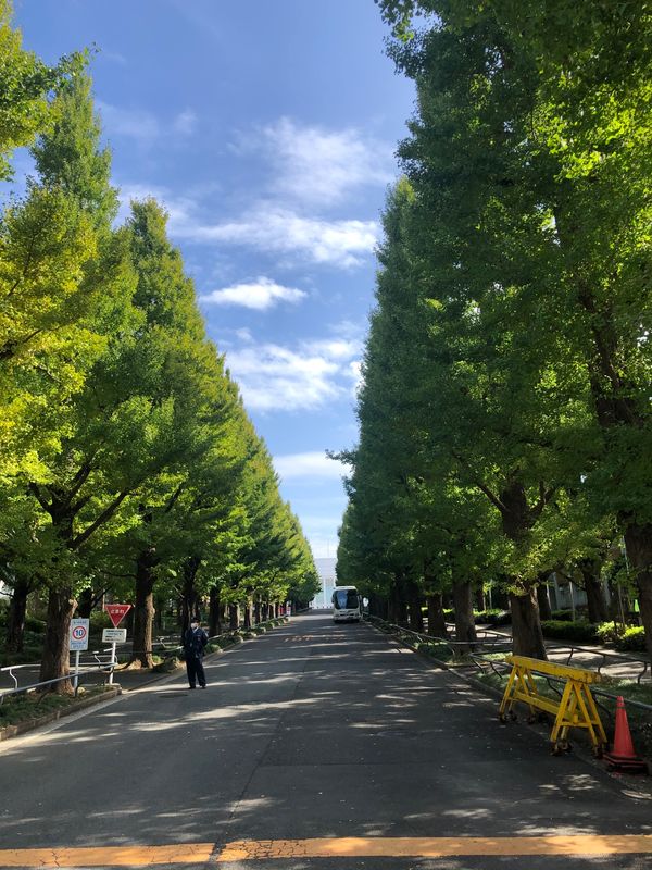 日本・神奈川県「なんとなく母校探訪」の写真