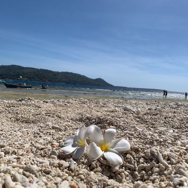 フィリピン・イロイロ市「フィリピン留学🇵🇭」の写真