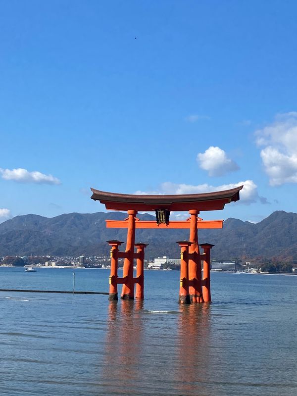 日本・宮島「広島旅行🍁」の写真