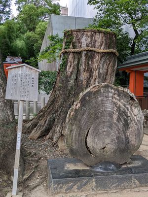 生田神社