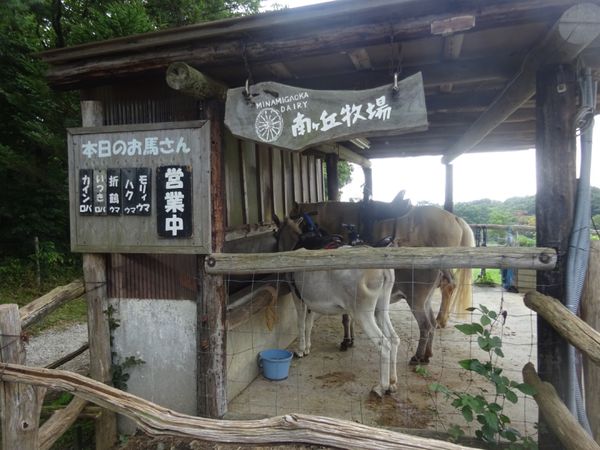 日本・那須高原「2024年夏休み・那須高原」の写真