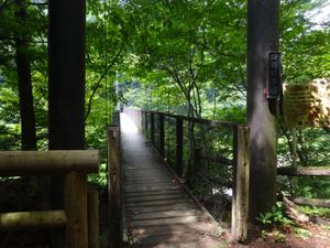 回顧の吊り橋/回顧の滝