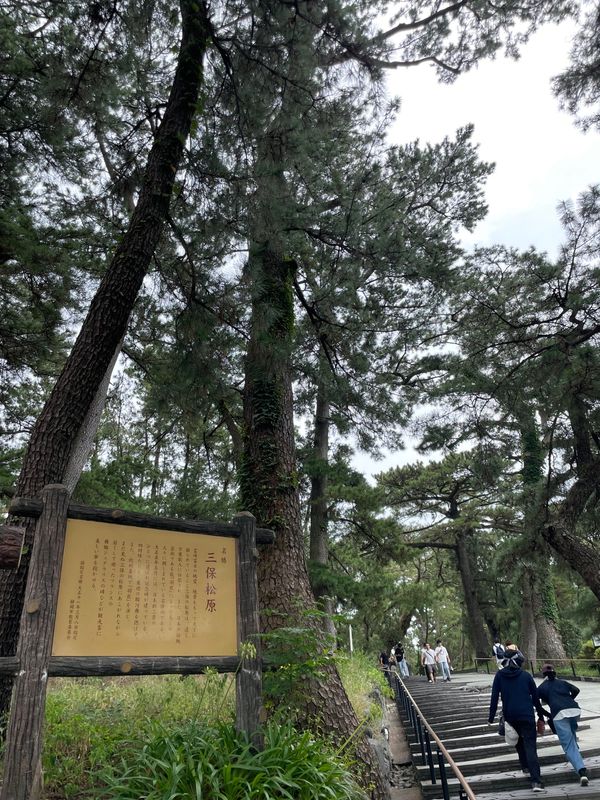 日本「静岡旅行」の写真