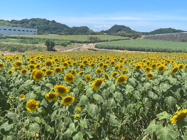 日本・福井県「福井県」の写真