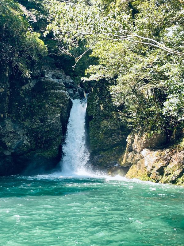 日本・高知県「高知帰省旅行」の写真