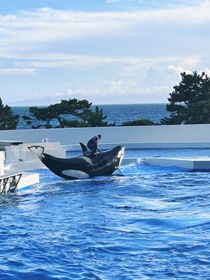 【神戸須磨シーワールド】
神戸市立須磨海浜水族園が民営化されて
今年202...