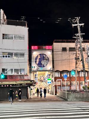 昼間のタクシーの運転手さんにも
この辺りは夜は危ないと言われたので
もうち...