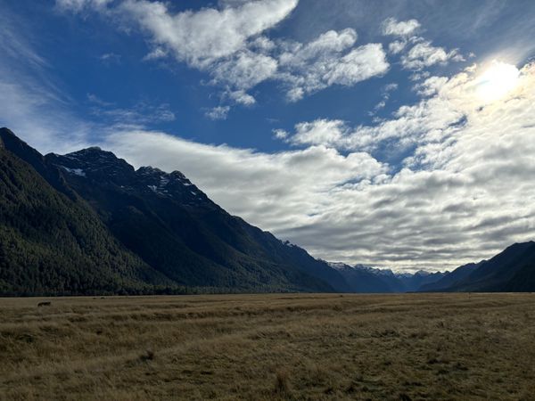 ニュージーランド・オークランド「ニュージーランド旅行」の写真