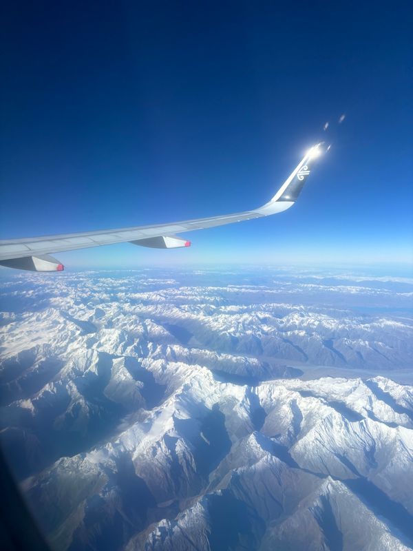 ニュージーランド・オークランド「ニュージーランド旅行」の写真