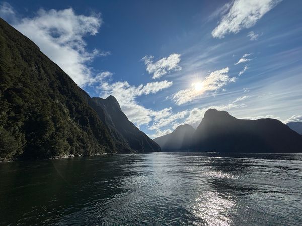 ニュージーランド・オークランド「ニュージーランド旅行」の写真