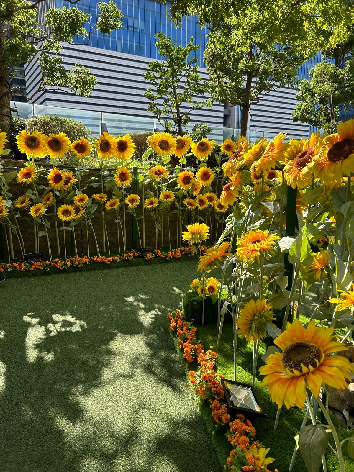 スカイガーデン🌻
写真撮ってる人沢山いてあんまり取れなかったけど
太陽の光...