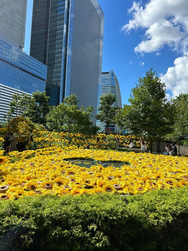 日本・愛知県「名古屋〜いっくぞ〜！💜」の写真：スカイガーデン🌻
写真撮ってる人沢山いて...