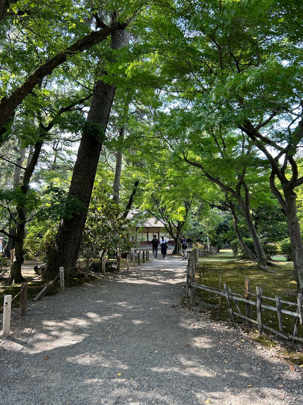 名古屋城🏯
暑すぎて人が多すぎてすぐ退散🤦‍♀️
