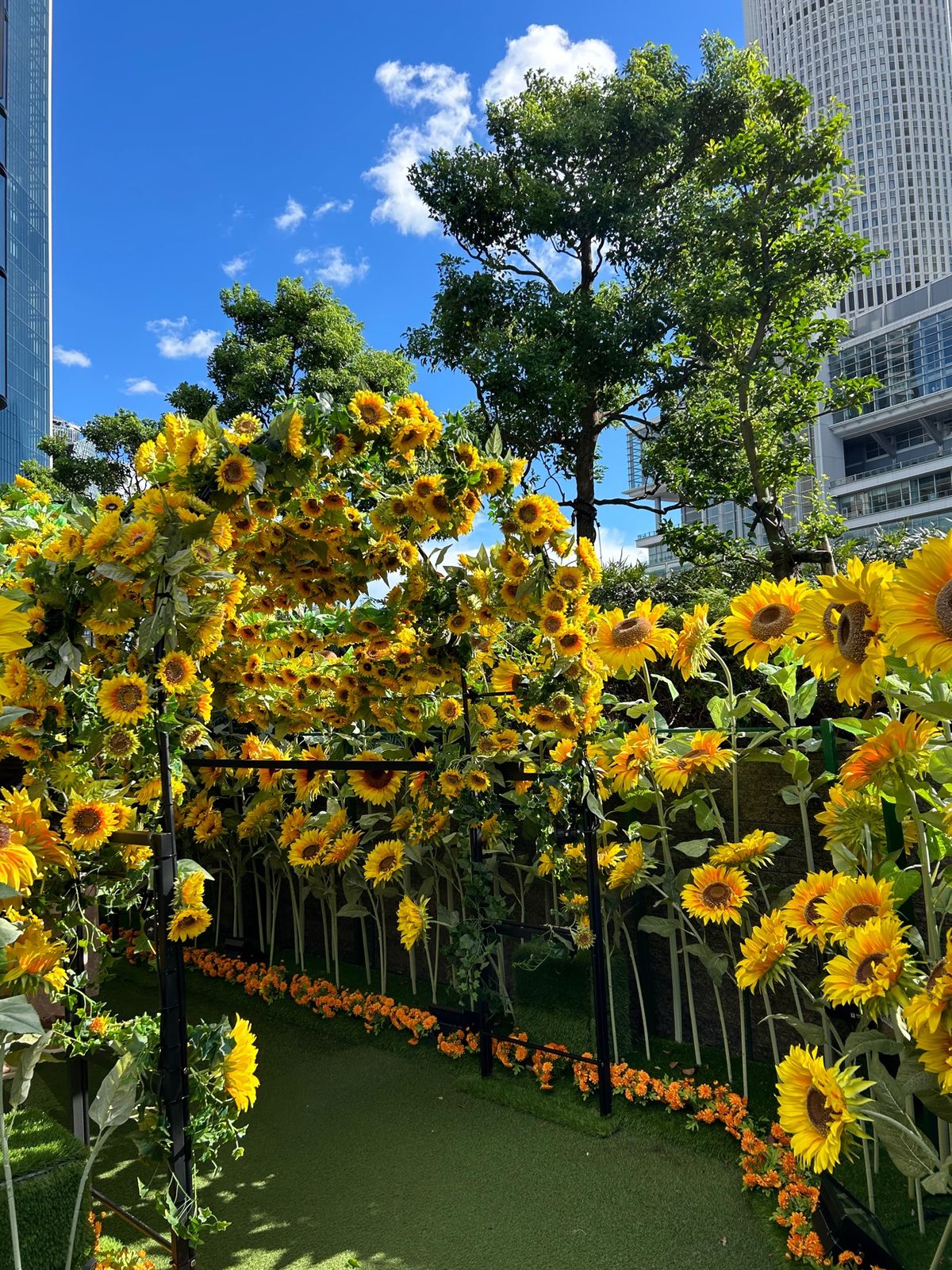 スカイガーデン🌻
写真撮ってる人沢山いてあんまり取れなかったけど
太陽の光...