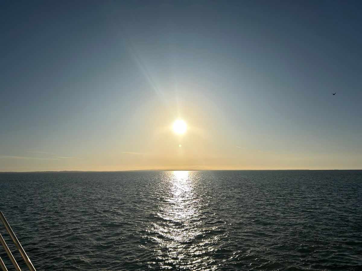 4度目のフレーザー島。今回初めて野生のDiogoが目の前に現れた！
202...