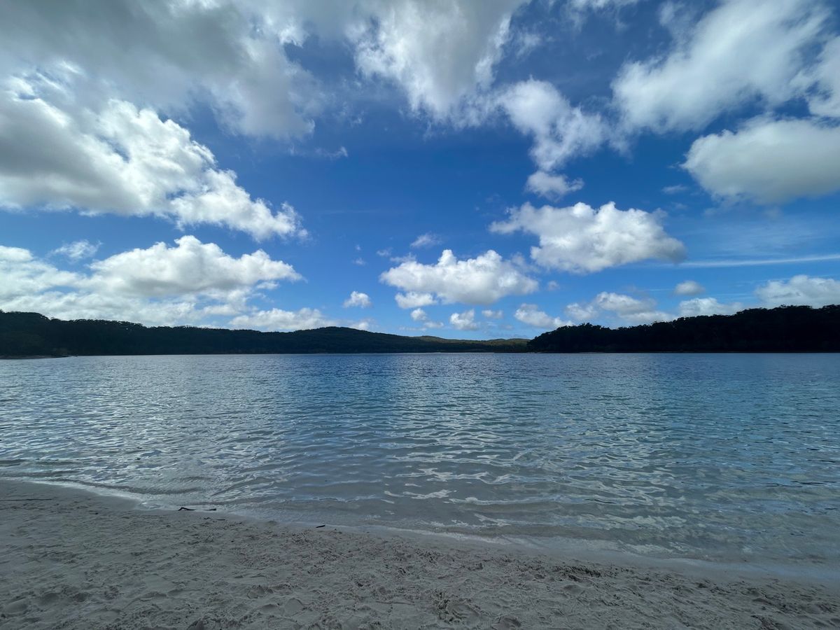 4度目のフレーザー島。今回初めて野生のDiogoが目の前に現れた！
202...