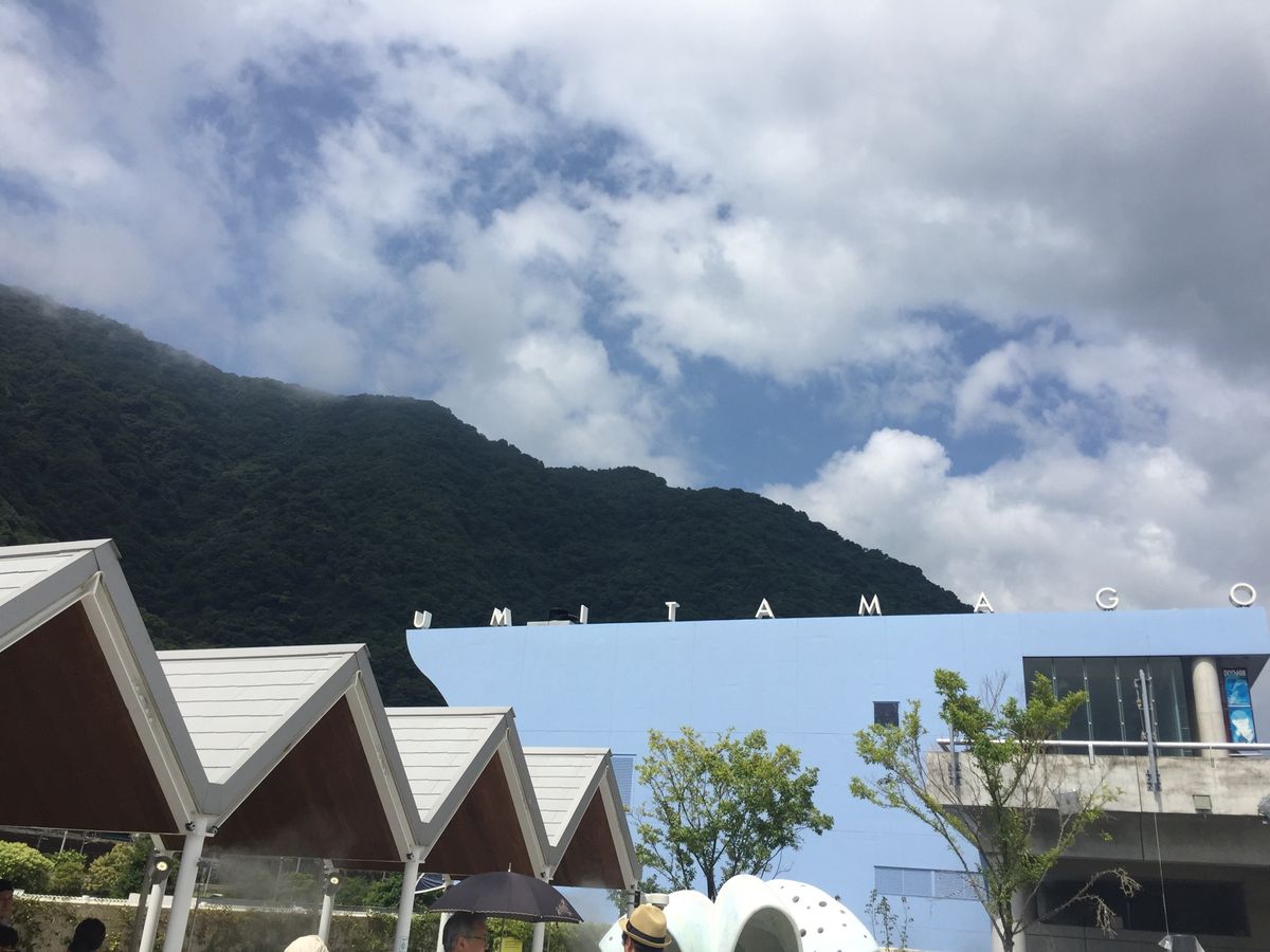 さんふらわー
地獄めぐり
うみたまご
高崎山