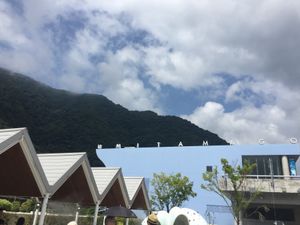 さんふらわー
地獄めぐり
うみたまご
高崎山