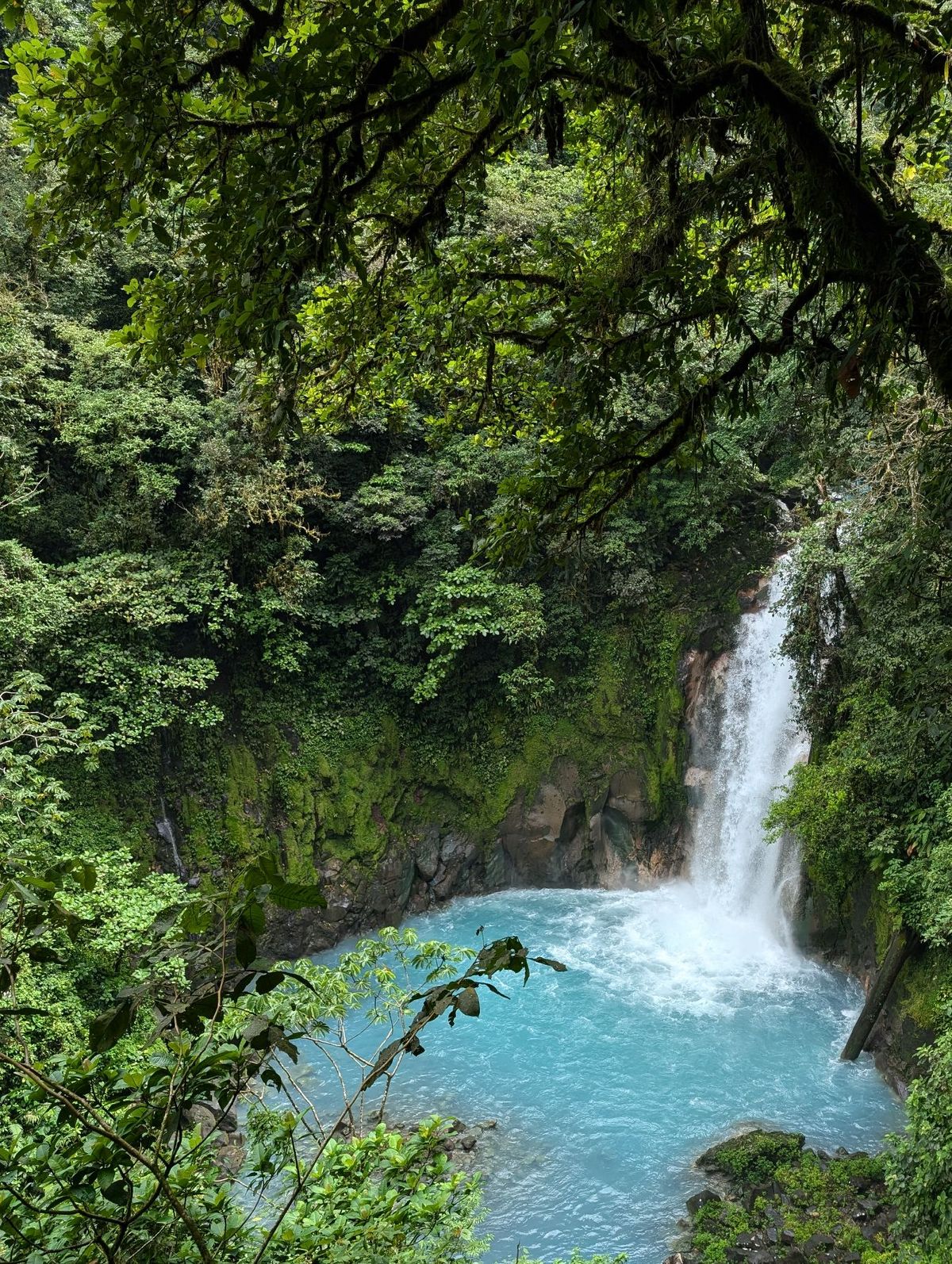 この日はLa Fortunaをあとにして太平洋岸の街Puntarenasへ...