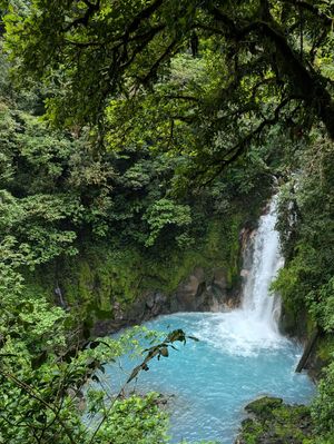 この日はLa Fortunaをあとにして太平洋岸の街Puntarenasへ...