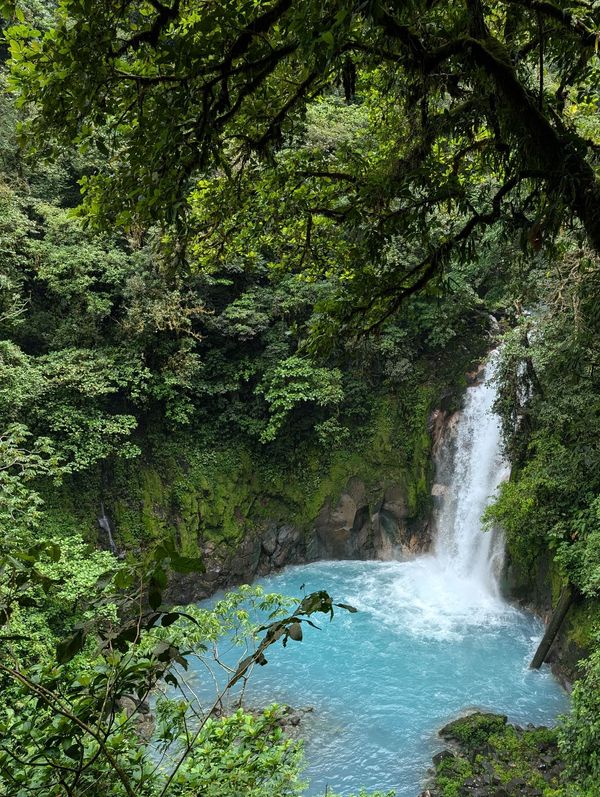 パナマ・パナマシティ「ケツァール探しから中米ホッピング」の写真:この日はLa Fortunaをあとにして...