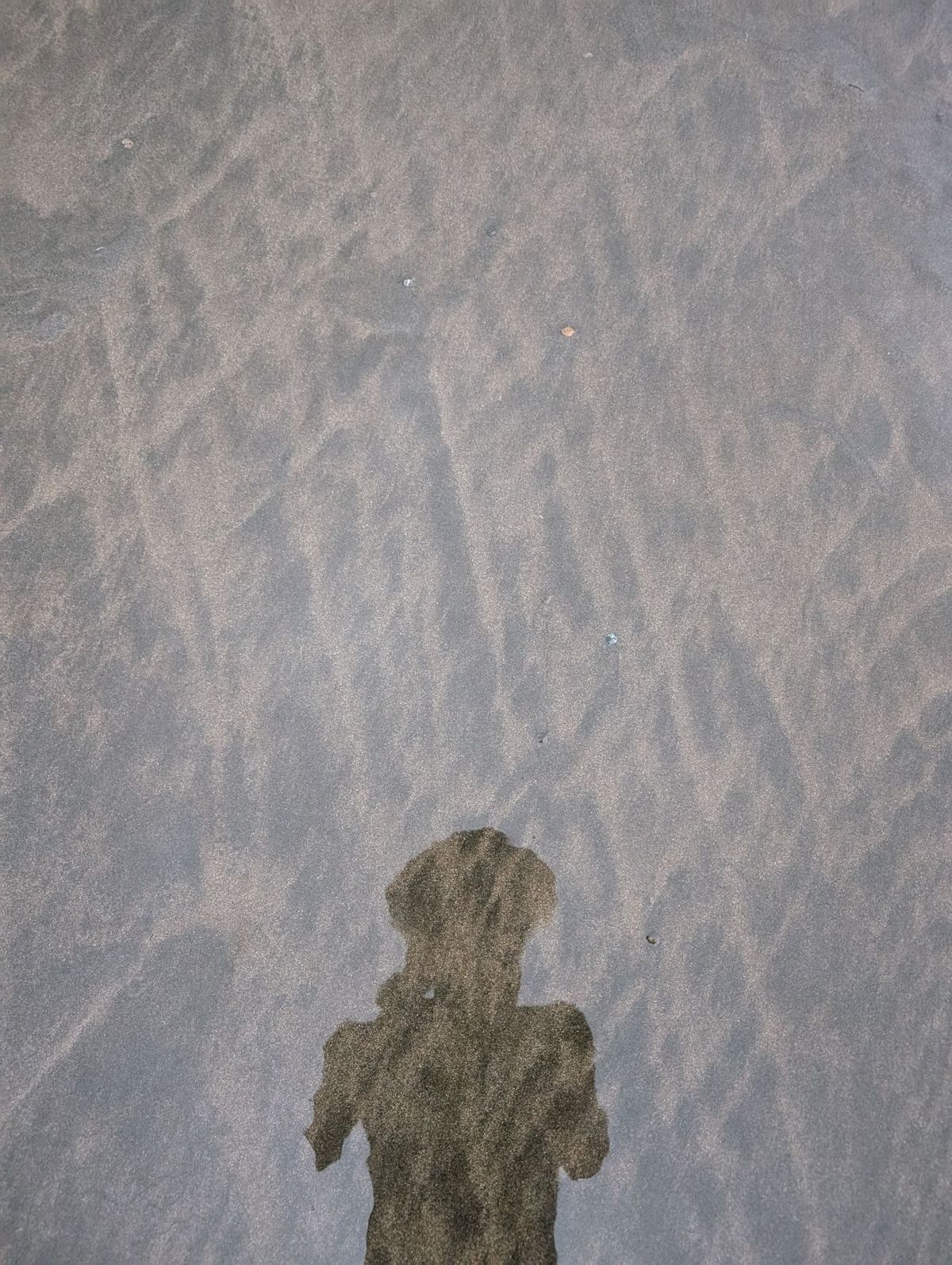 【まとめ】
円安の影響もあって、思っていたより費用が嵩んだ。
下調べで治安...