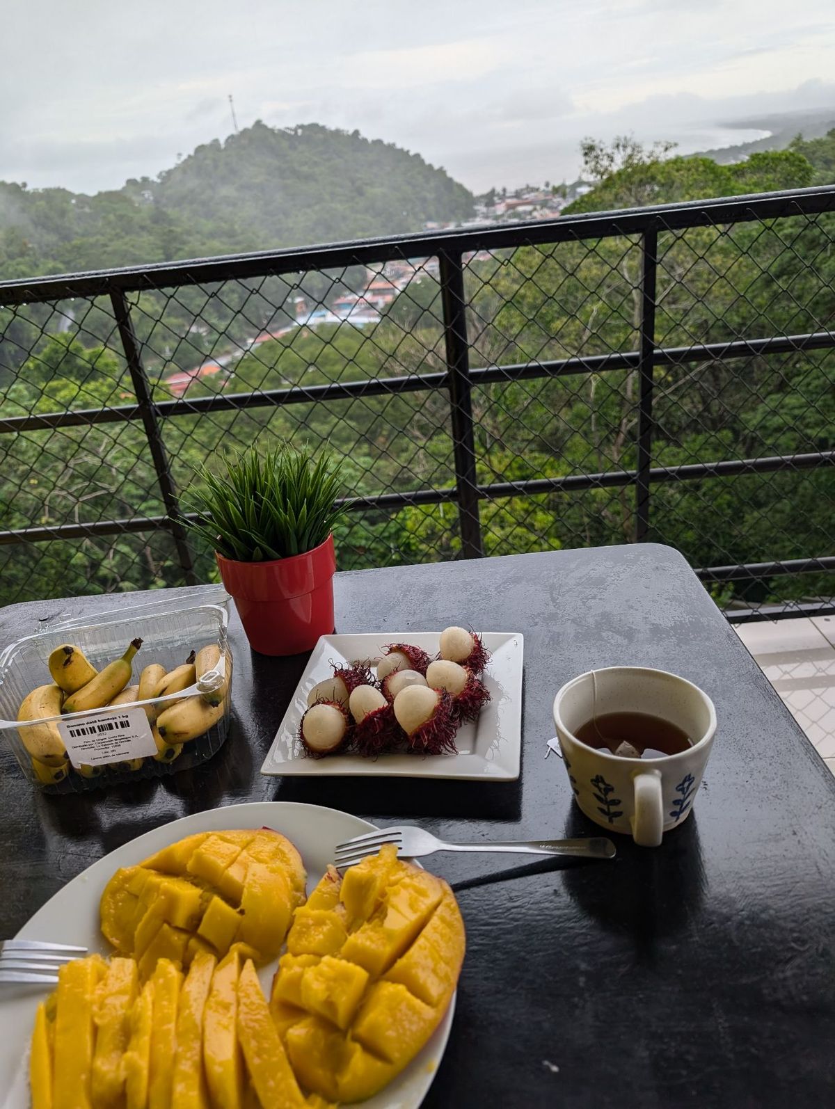 朝になると雷はおさまり、雨は小康状態に。
買っておいたフルーツで朝食。
ど...