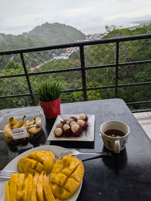 朝になると雷はおさまり、雨は小康状態に。
買っておいたフルーツで朝食。
ど...