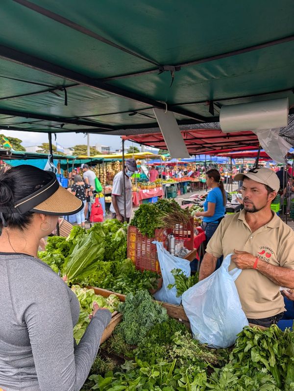 パナマ・パナマシティ「ケツァール探しから中米ホッピング」の写真:とある日の朝は家主と一緒に日曜朝市に出掛...