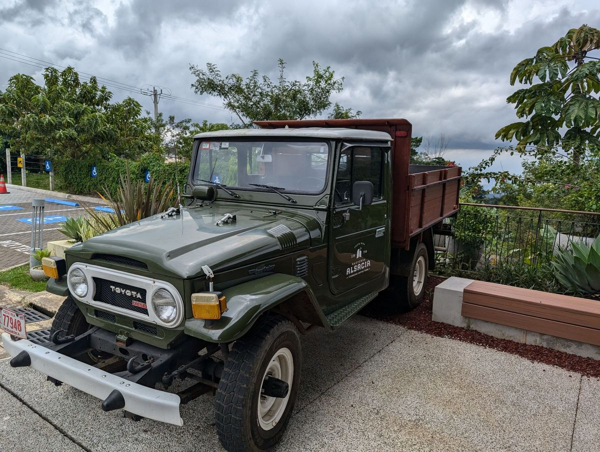 La Fortunaへの道中、スタバのコーヒー農園（直営なのか契約農場なの...