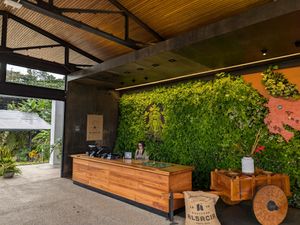 La Fortunaへの道中、スタバのコーヒー農園（直営なのか契約農場なの...