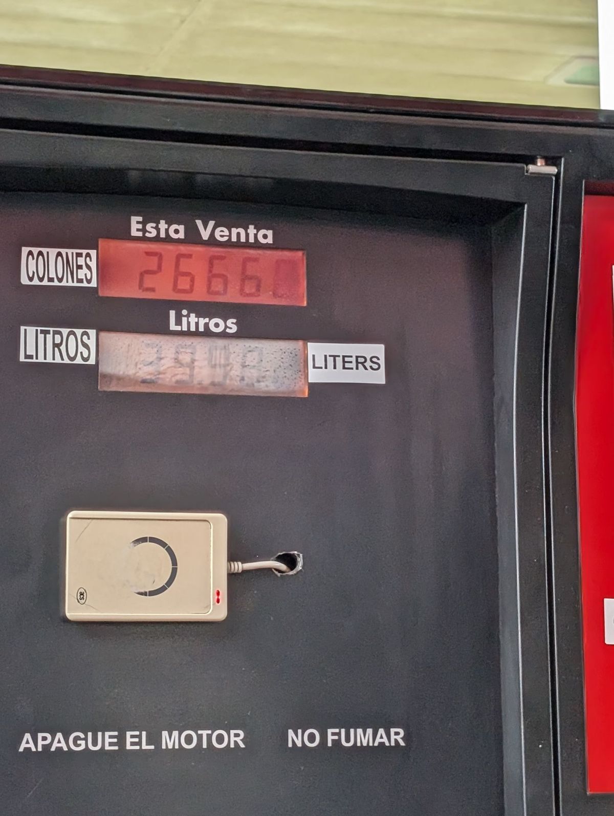 朝になると雷はおさまり、雨は小康状態に。
買っておいたフルーツで朝食。
ど...