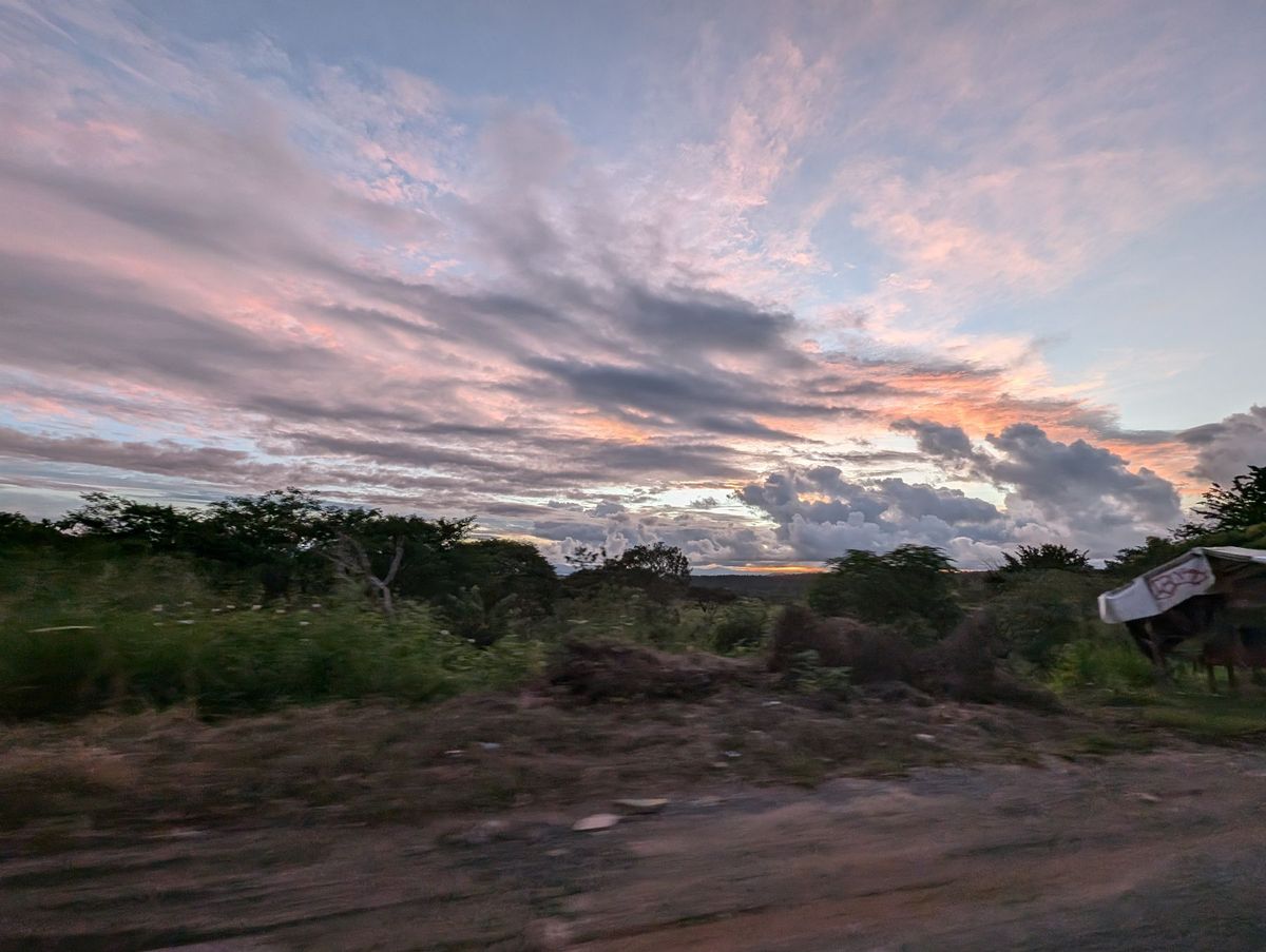 この日はLa Fortunaをあとにして太平洋岸の街Puntarenasへ...