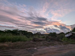 この日はLa Fortunaをあとにして太平洋岸の街Puntarenasへ...