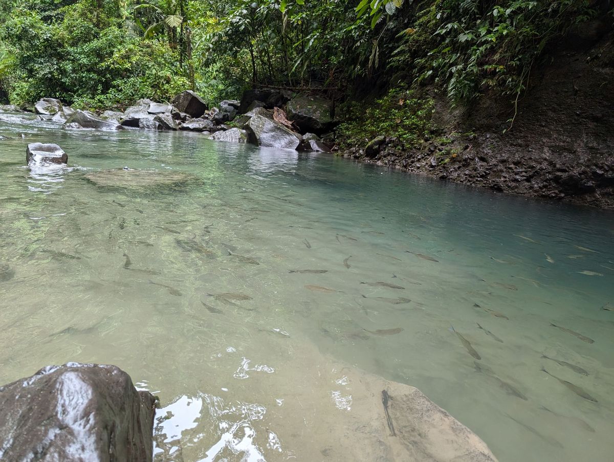 La Fortuna2日目はFortuna滝から。
入場料20USD。
落...