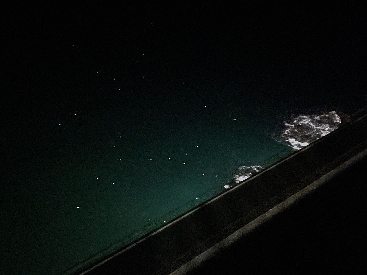 9/2
南三陸ホテル観洋-夜景