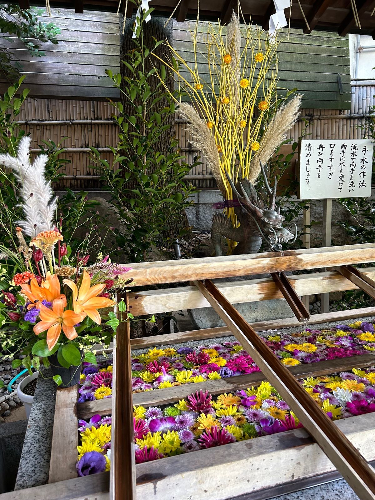 東京大神宮で、縁結びのお祈り😶
あとは、すみだ水族館へ🪼