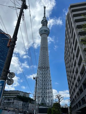 東京大神宮で、縁結びのお祈り😶
あとは、すみだ水族館へ🪼